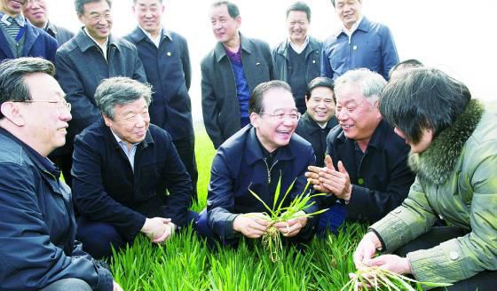 2016年10月6日國家學科小麥栽培方向?qū)W術(shù)帶頭人郭天財教授蒞臨指導(dǎo)