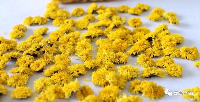 2018，種下希望，靜待花開(kāi)！